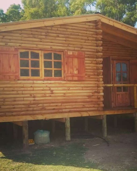 IMG_20211228_081909_745